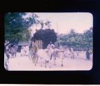 [Untitled]