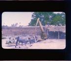 [Untitled]