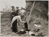 Needling a Haystack, Huế, South Vietnam