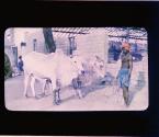 [Untitled]