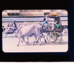 [Untitled]
