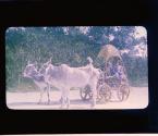 [Untitled]
