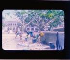 [Untitled]
