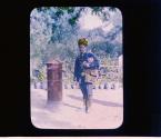 [Untitled]