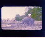 [Untitled]