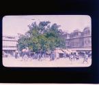 [Untitled]