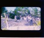 [Untitled]