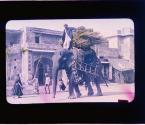 It's no Circus to be an Elephant in Jaipur