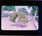 [Untitled]