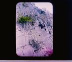 [Untitled]
