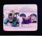 [Untitled]
