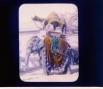 [It's no Circus to be an Elephant in Jaipur]