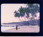 [Untitled]