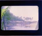 [Untitled]