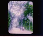 [Untitled]