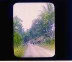 [Untitled]