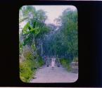 [Untitled]