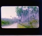 [Untitled]