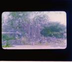 [Untitled]