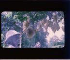 [Untitled]