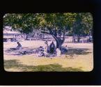 [Untitled]