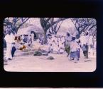 [Untitled]