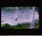 [Untitled]