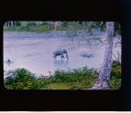 [Untitled]