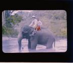 [Chapin and guide on elephant in river]