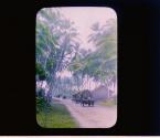 [Untitled]