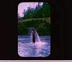 [Untitled]