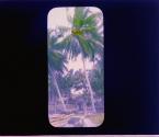 [Untitled]