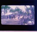 [Untitled]