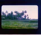 [Untitled]