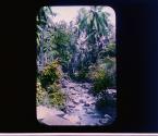 [Untitled]