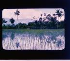 [Untitled]