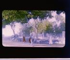 [Untitled]