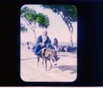 [Untitled]