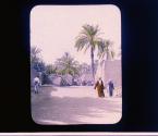 [Untitled]