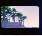 [Untitled]