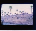 [Untitled]