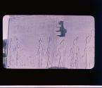 [Untitled]