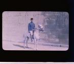 [Untitled]