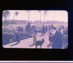 [Untitled]