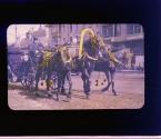 A Three-Horse Team, Moscow