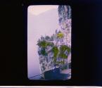 [Untitled]