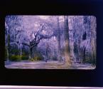[Untitled]