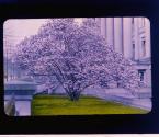 [Untitled]