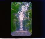 [Untitled]