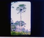 [Untitled]